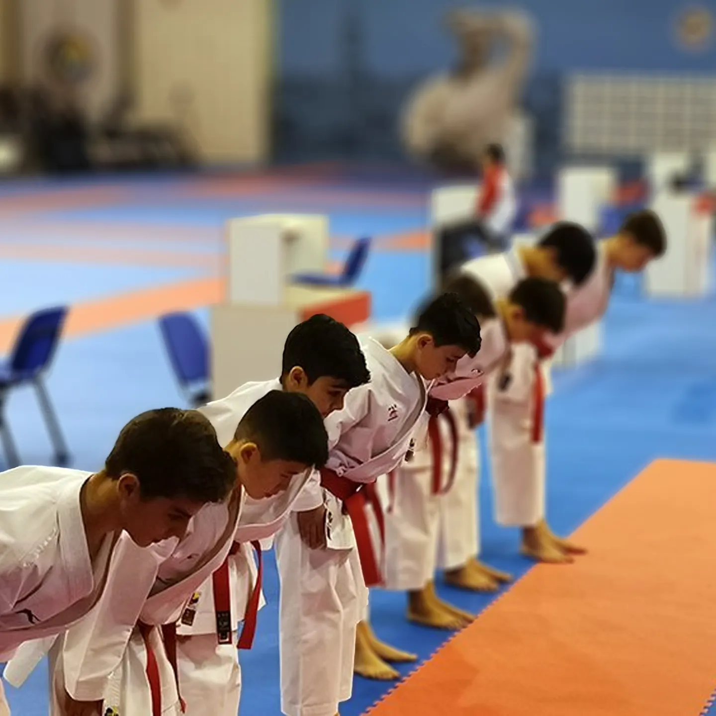 Daitan Service - Karate1 Youth League